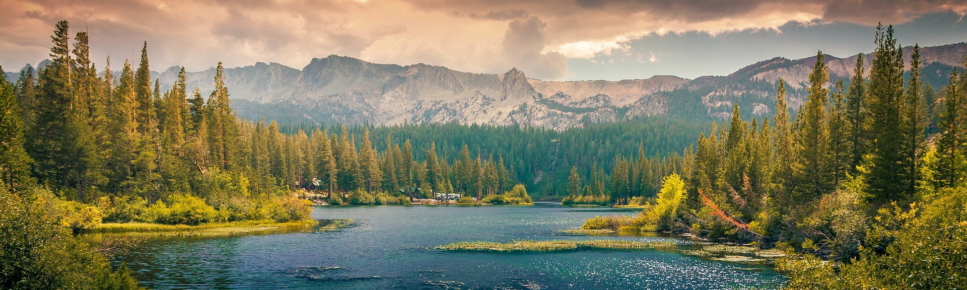 Pwn9 Gaming & Online Community